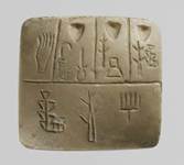 Fig 1:   The signs on this archaic cuneiform tablet, dating to the end of the 4th millennium BC (Uruk III), still display curved traits. Fig 1:   The signs on this archaic cuneiform tablet, dating to the end of the 4th millennium BC (Uruk III), still display curved traits.