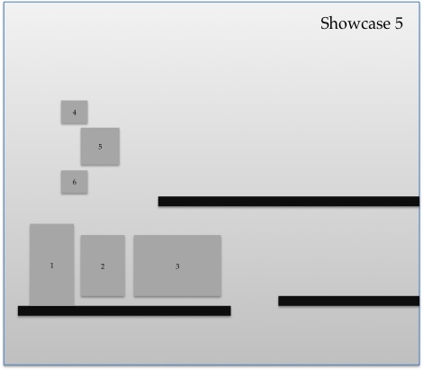 ash_ane_showcase_5.jpg