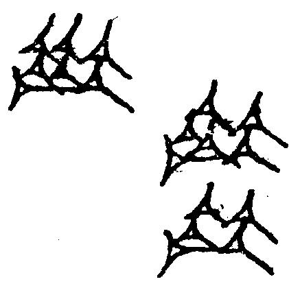 1.signes2_html_1ee78da3.png