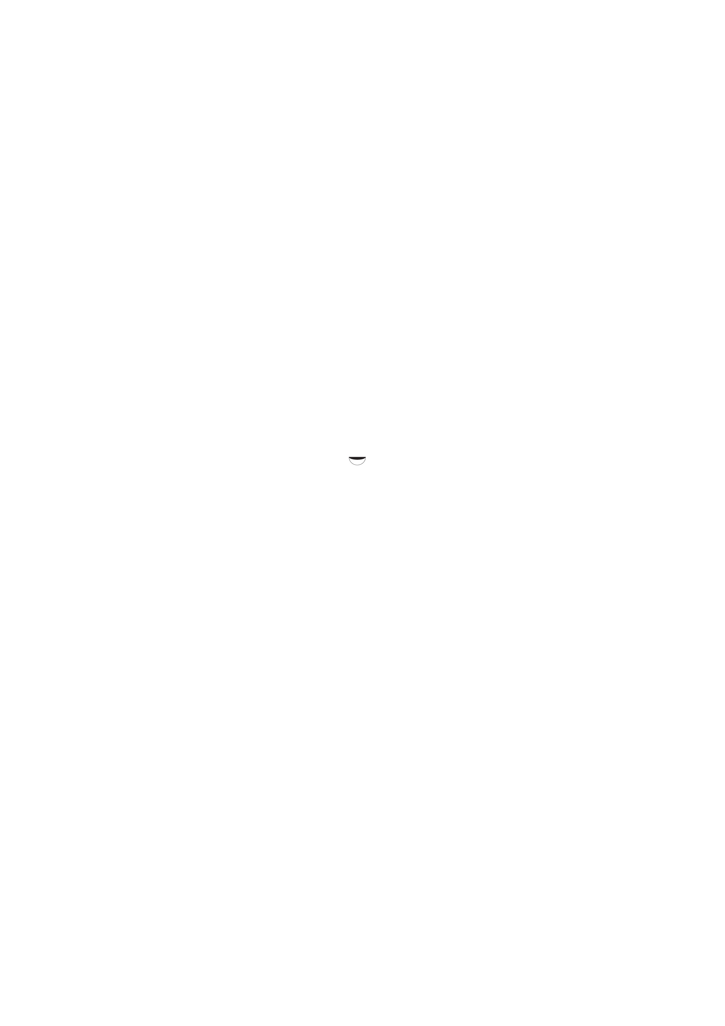 1_n39_a_.jpg