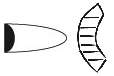 n01_ku3.png