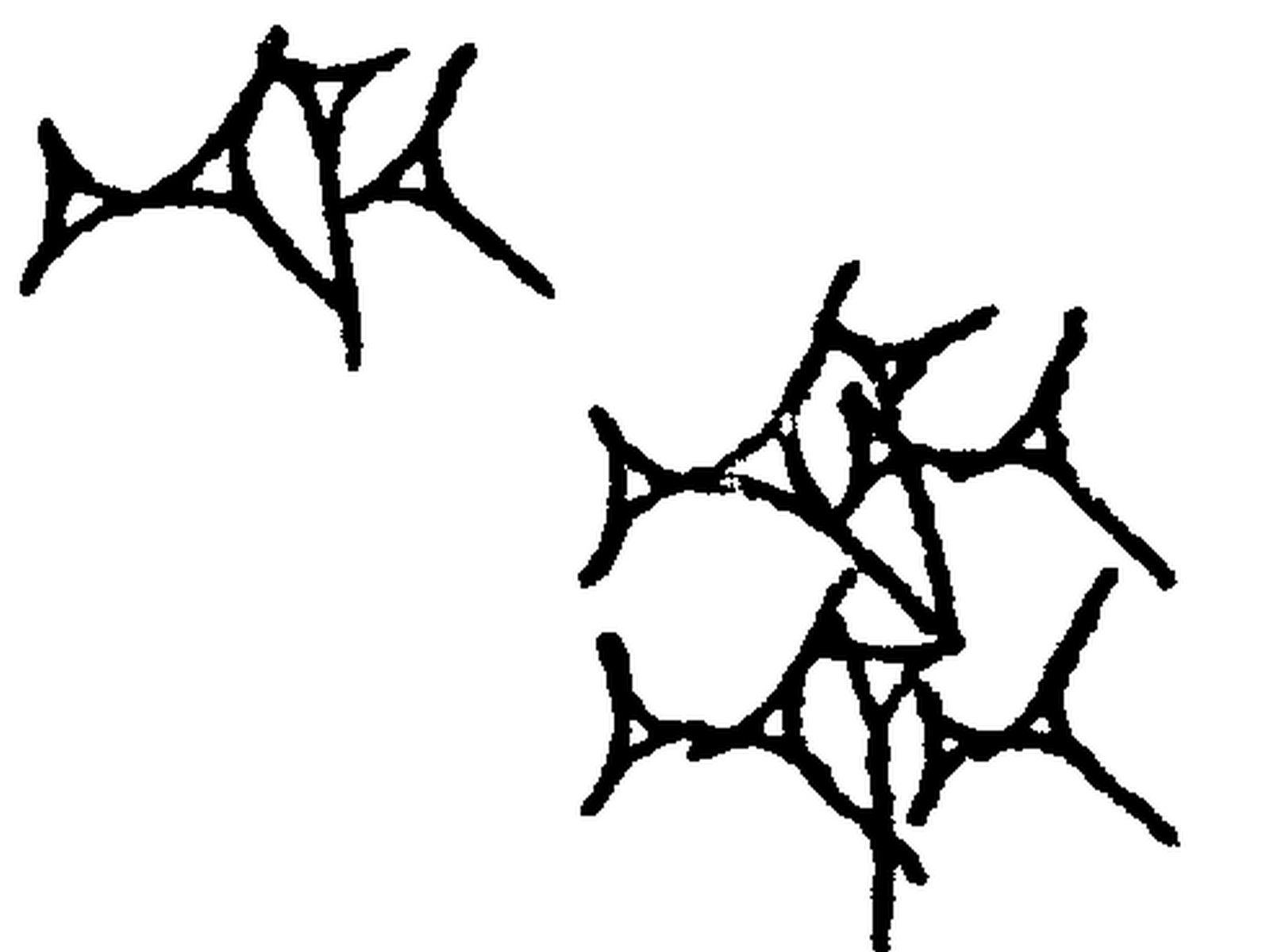 1.signes2_html_a195bc3.jpg