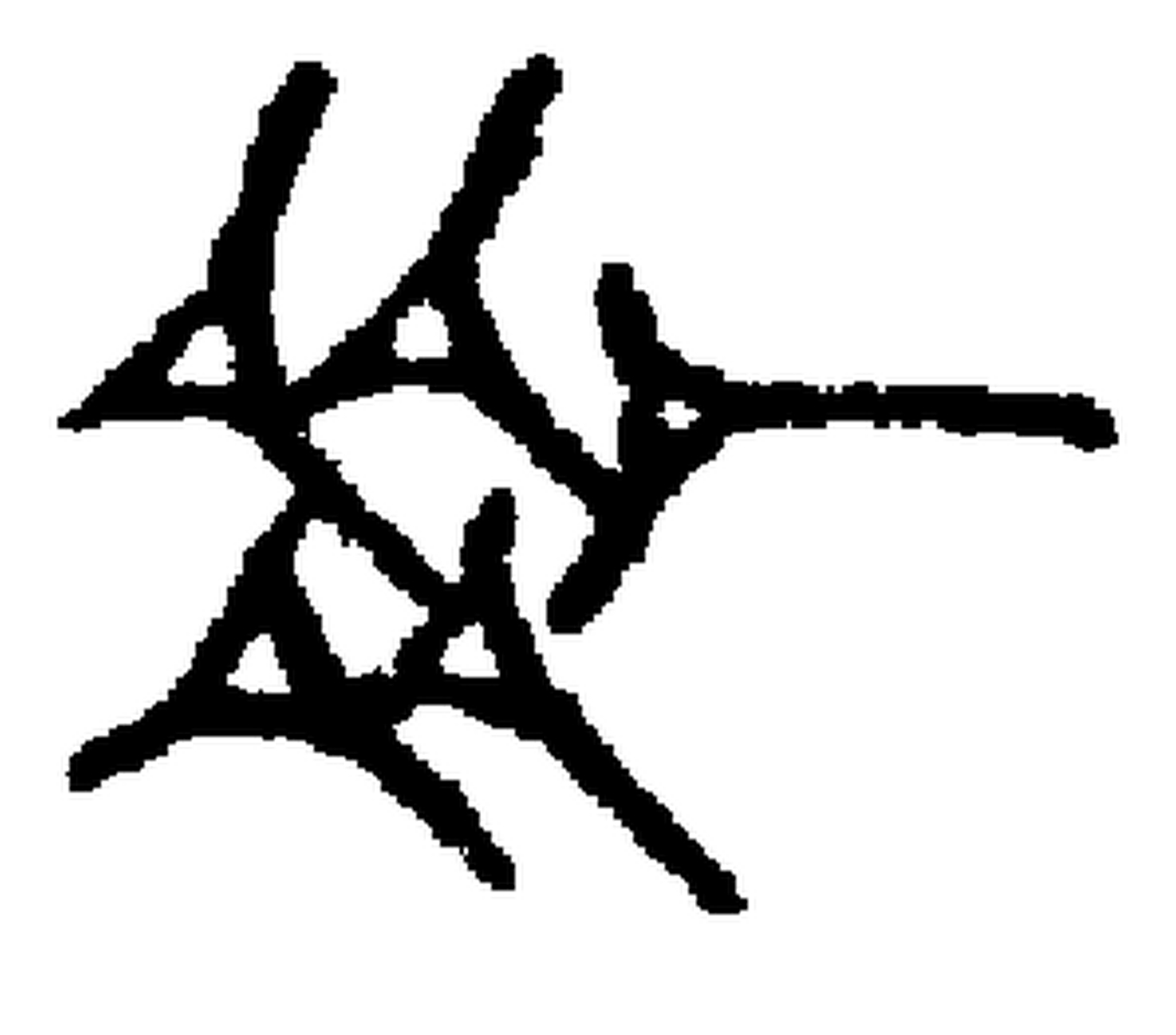 1.signes2_html_m46e350a2.jpg
