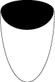 1_n08a_.png