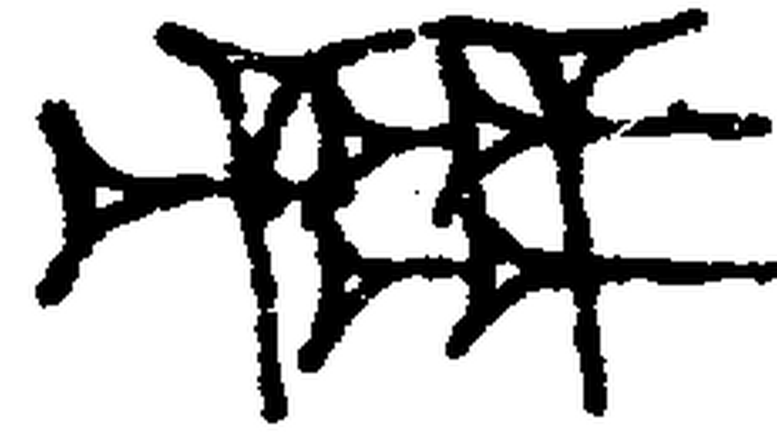 1.signes2_html_530e01af.jpg
