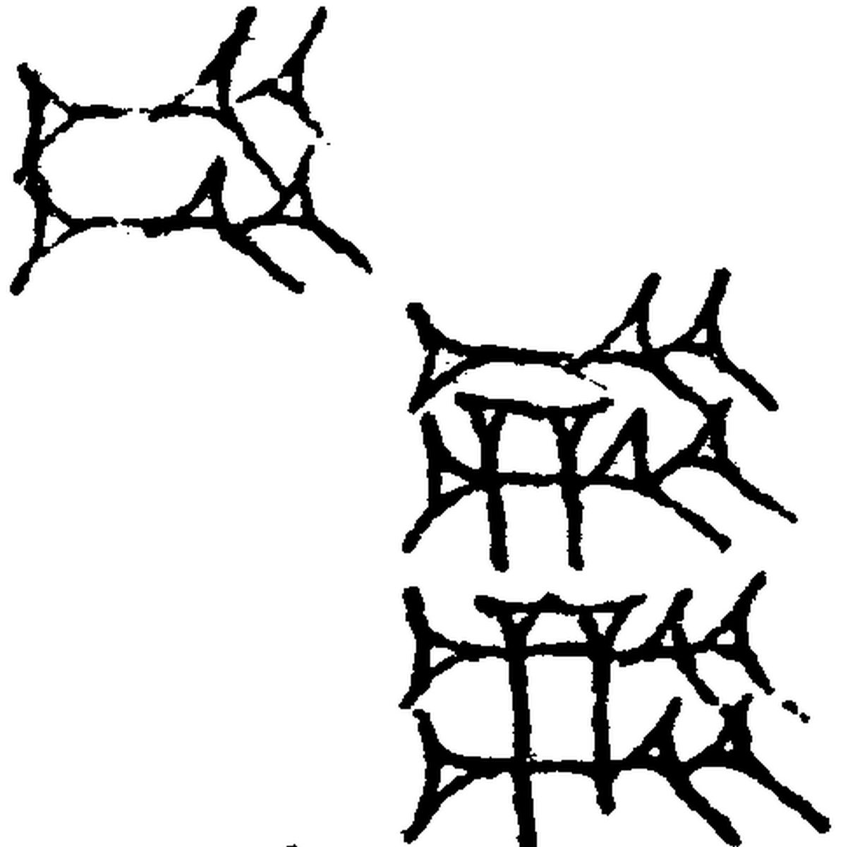 1.signes2_html_m62d3664e.jpg