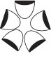 1_n29_a_a.png