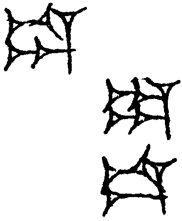 1.signes2_html_1da3e50.jpg