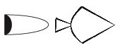 n1_dugb.png