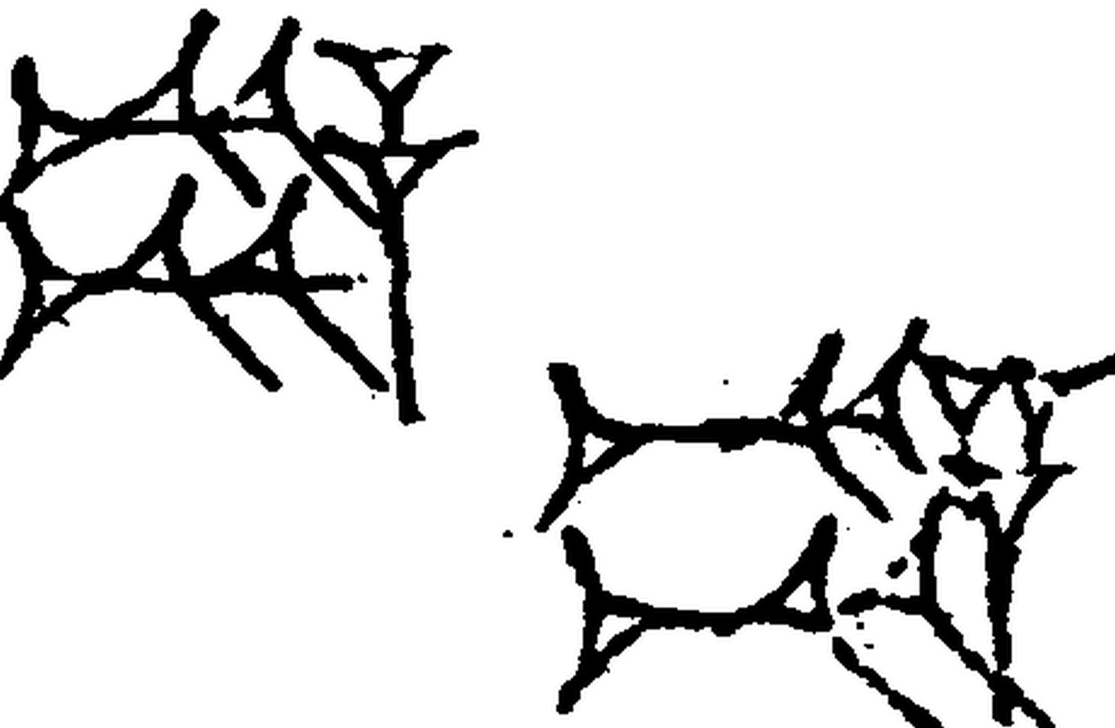 1.signes2_html_m135a7b72.jpg